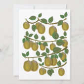 Kiwi Fruit (Voorkant)