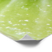 Kiwi Fruit Inside Poster (Coin)