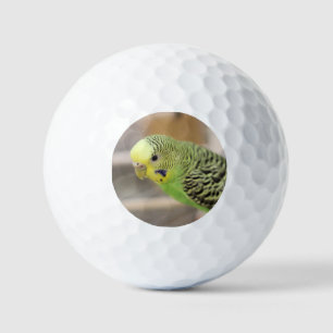 Kiwi Golfballen