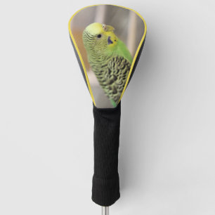 Kiwi Golfheadcover