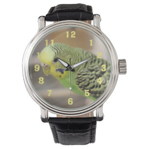 Kiwi Horloge