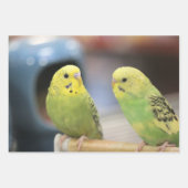 Kiwi Inpakpapier Vel (Voorkant 3)