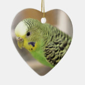 Kiwi Keramisch Ornament (Rechts)