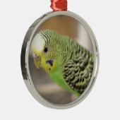 Kiwi Metalen Ornament (Rechts)