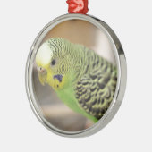 Kiwi Metalen Ornament (Links)