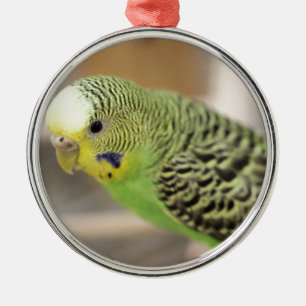 Kiwi Metalen Ornament