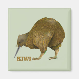 Kiwi N.Z. Bird Magneet