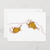 KIWI NZ VOGELS ROTSKLIMMEN BRIEFKAART (Voorkant / Achterkant)