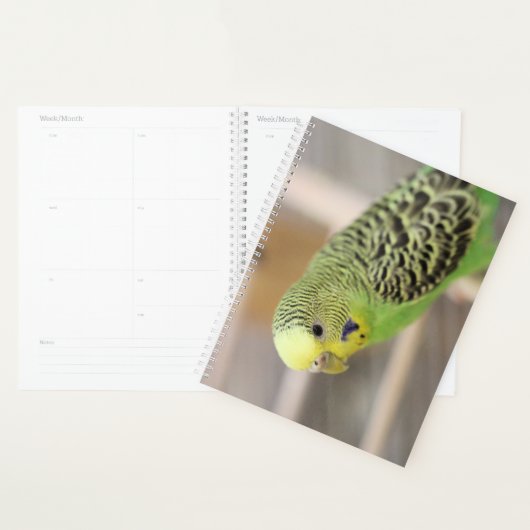 Kiwi Planner (Display)