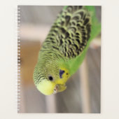 Kiwi Planner (Voorkant)