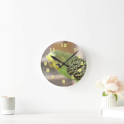 Kiwi Ronde Klok (Huis)