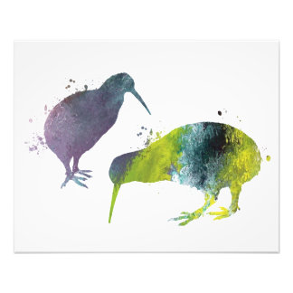 Kiwi-vogels Foto Afdruk