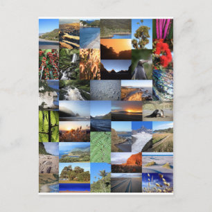 Kiwiana Nieuw-Zeelandse natuur schilderachtig mont Briefkaart