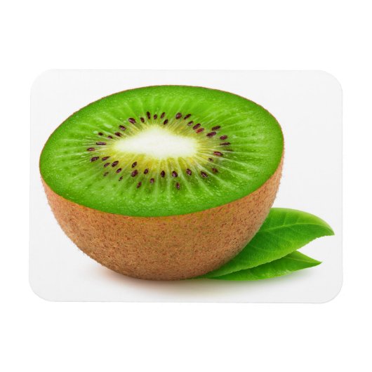 Kiwi's Magneet (Horizontaal)