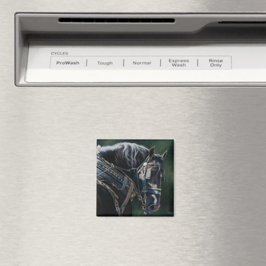 Klaar en witte zwarte Percheron Draft Horse Magneet (Insitu (Vaatwasser))