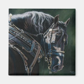 Klaar en witte zwarte Percheron Draft Horse Magneet (Voorkant)