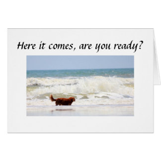 KLAAR OM TE DRAAIEN ***50****