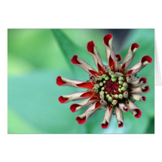 Klaar om te ontrafelen!