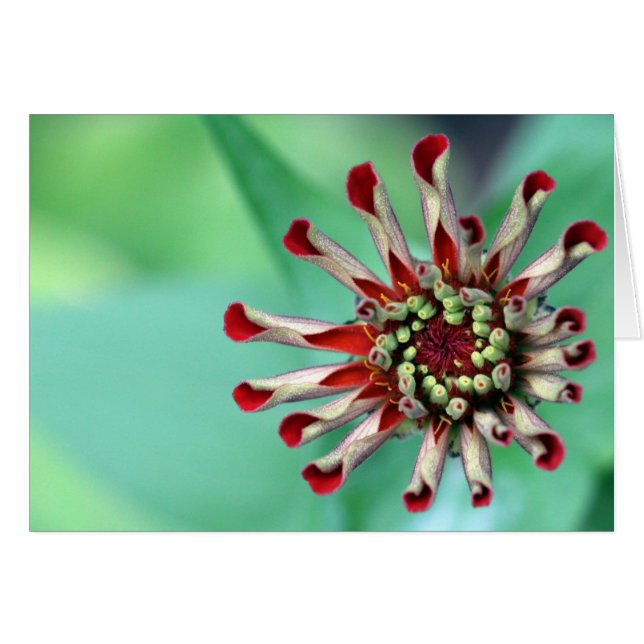 Klaar om te ontrafelen! (Voorkant Horizontaal)