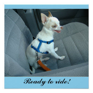 Klaar om te rijden Glossy Poster Perfect Poster