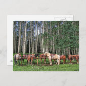 Klaar om te worden gerold briefkaart (Voorkant / Achterkant)