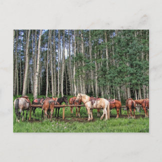 Klaar om te worden gerold briefkaart