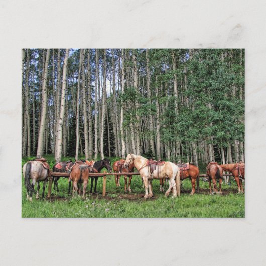 Klaar om te worden gerold briefkaart (Voorkant)