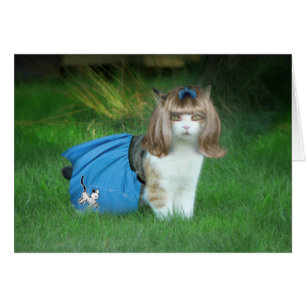 Klaar voor de Sock Hop!