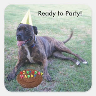 Klaar voor feest met Birthday Dog en Brownie Cake Vierkante Sticker