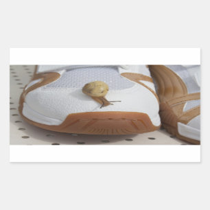 Klaar voor slakkenraces rechthoekige sticker