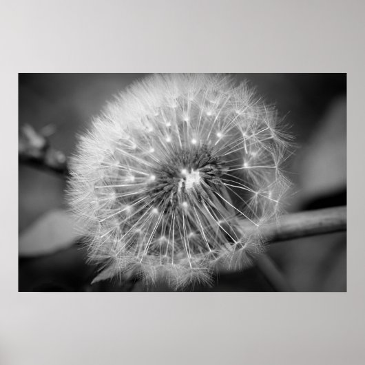 Klaar voor vertrek!!! poster (Voorkant)