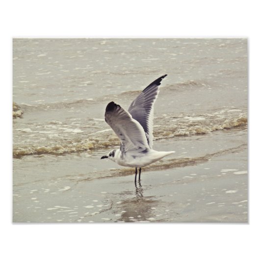 Klaar voor vliegfoto foto afdruk (Voorkant)