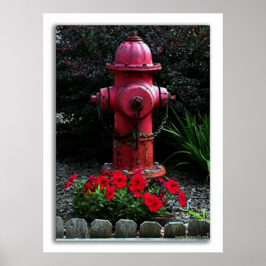 Klaar, Willing en Geschikt Poster (Voorkant)