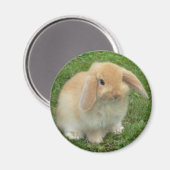 klap magneet (Voorkant / Achterkant)