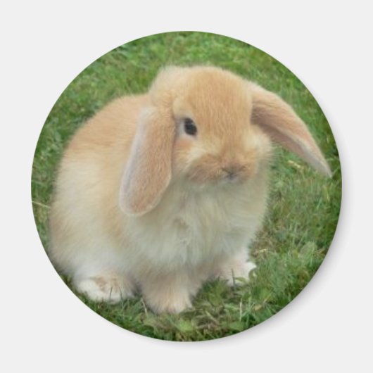 klap magneet (Voorkant)