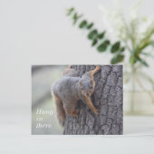 Klapeekhoorn Briefkaart (Staand voorkant)