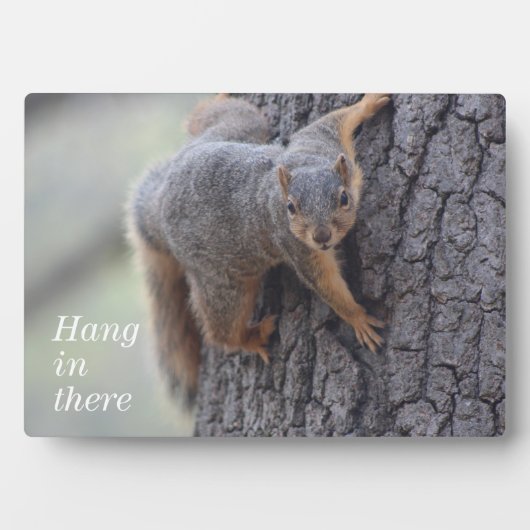 Klapeekhoorn Fotoplaat (voorkant)