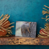 Klapeekhoorn Fotoplaat (Zijkant)