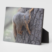 Klapeekhoorn Fotoplaat (Zijkant)