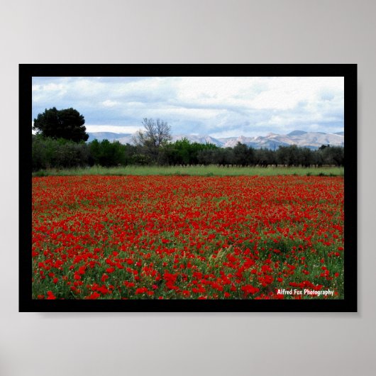 Klapperveld Boomgrens Poster (Voorkant)