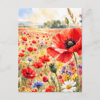 Klapperveld - Waterverf Klaproos Briefkaart