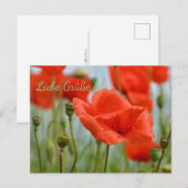 Klaprozen Briefkaart (Voorkant / Achterkant)