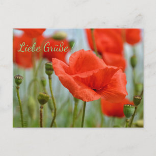 Klaprozen Briefkaart