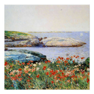 Klaprozen, Eilanden van Shoals, Perfect Poster