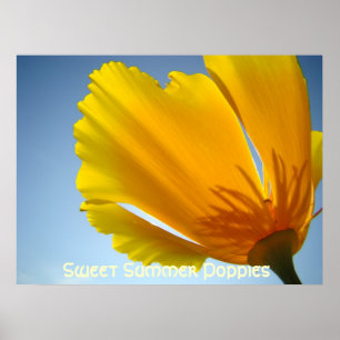 Klaprozen Sinaas Klaproos Bloemen 13 Kunst Prenten Poster