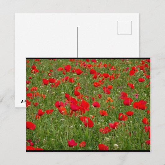 Klapveld Briefkaart (Voorkant / Achterkant)