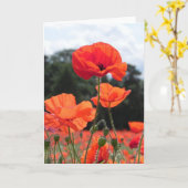 Klapveld in tinten rood kaart (Gele Bloem)