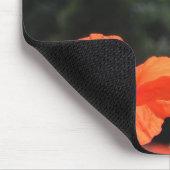 Klapveld, mooie bloemen, muismat (Hoek)