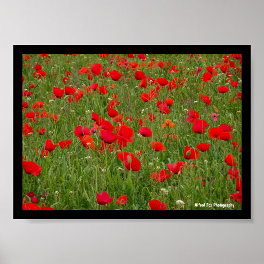 Klapveld Poster (Voorkant)