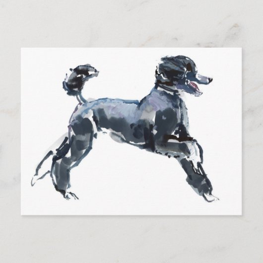 Klasse 2013 briefkaart (Voorkant)